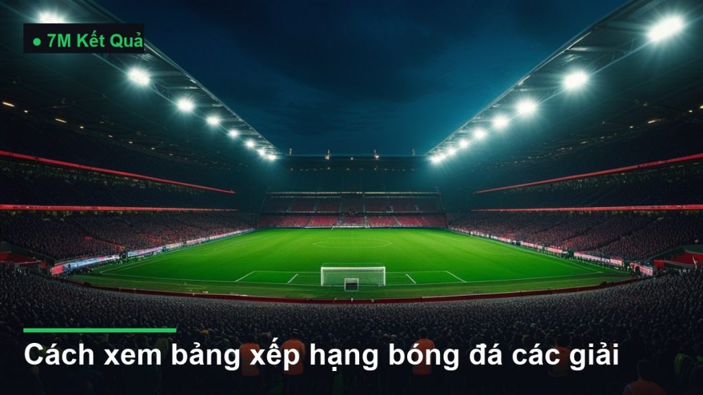 sân vận động bóng đá về đêm dưới ánh đèn pha - cách xem bảng xếp hạng bóng đá các giải